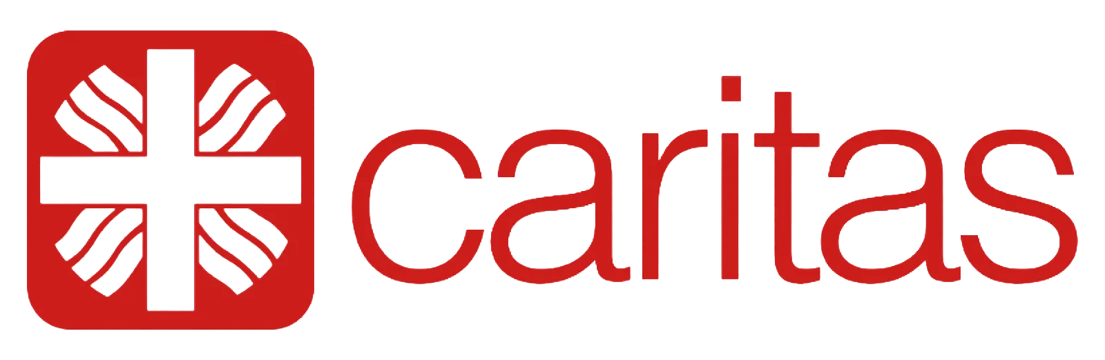 Caritas Partner